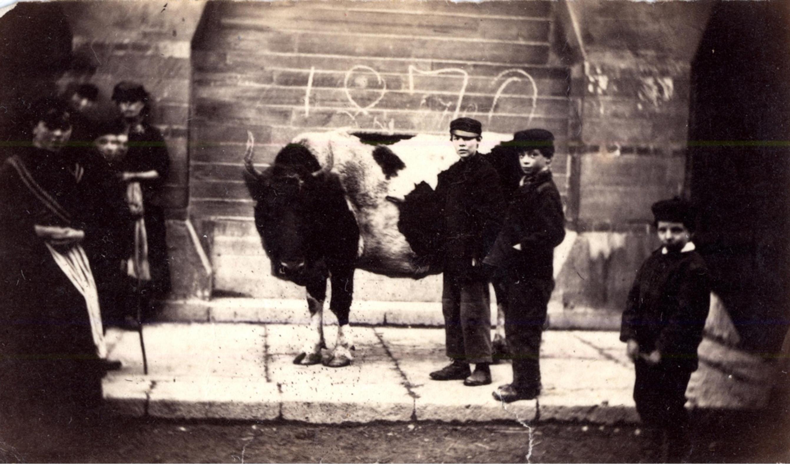 John Turnor Mathias 6 Ceredigion Archives
