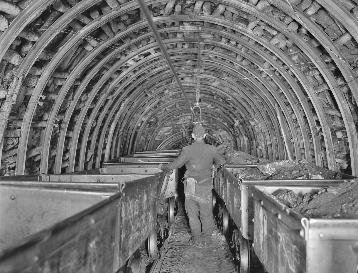 Panel 1 Image 1 - DNCB-14-4-24-5