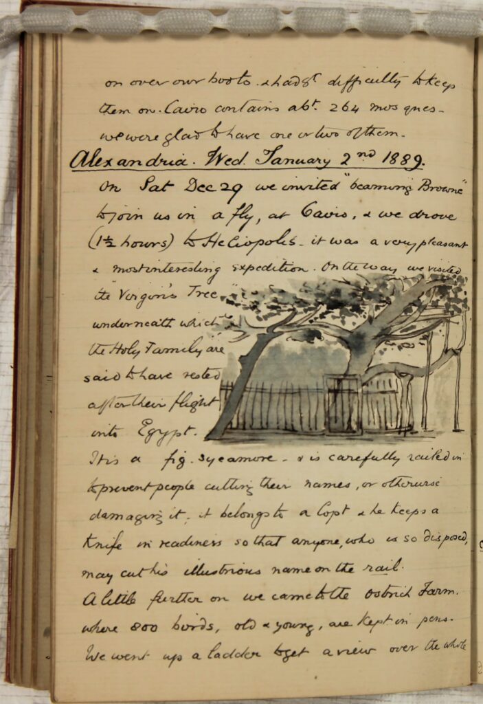 A page of the journal that includes a sketch of The Virgin’s Tree